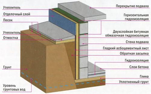 Что можно выращивать в подвале. Овощи в подвале 02