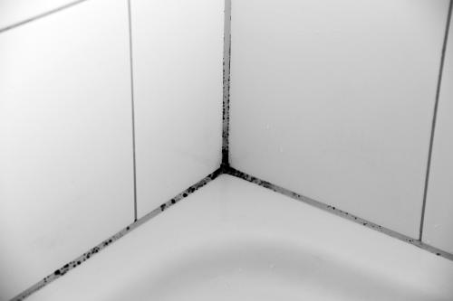 В ванной черные пятна. Как удалить плесень и грибок с керамической поверхности
