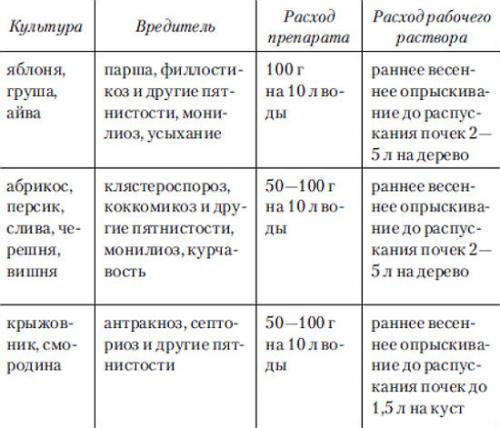 Как дезинфицировать теплицу из поликарбоната осенью. Почему необходимо обрабатывать теплицы из поликарбоната 02