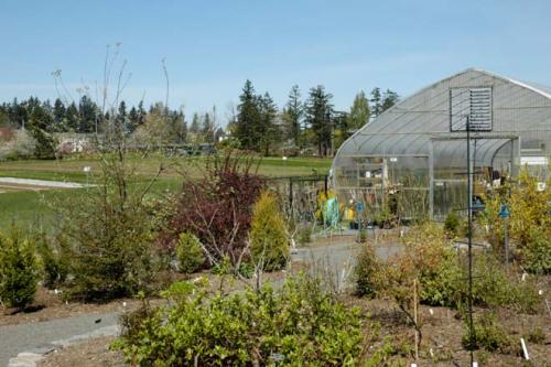 Обработка теплицы осенью фитоспорином. Чем обработать теплицу осенью от болезней и вредителей