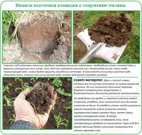 Как подготовить землю под теплицу. Описание работ по установке парника на грунт