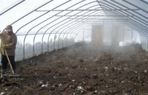 Подготовка теплицы весной. Как обработать теплицу весной: все способы подготовки «объекта» к новому сезону