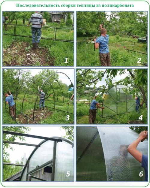 Как подготовить землю под теплицу. Описание работ по установке парника на грунт