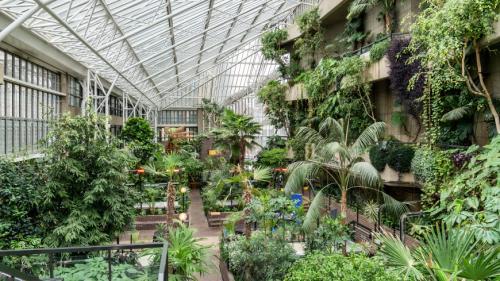 Чем обработать теплицу осенью от паутинного клеща. Уборка теплицы осенью: действенный способ вывести паутинного клеща