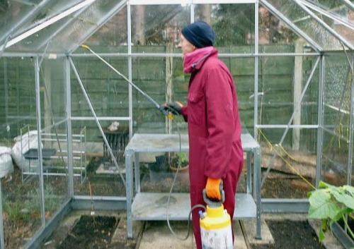 5 способов обработать теплицу после уборки урожая. Зачем обрабатывать теплицу осенью