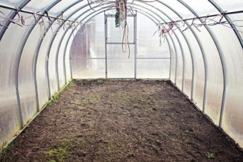 Каким раствором помыть теплицу осенью. Осенняя дезинфекция теплицы из поликарбоната изнутри