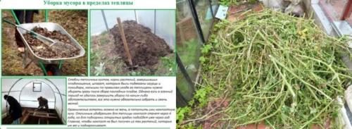 Каким раствором помыть теплицу осенью. Осенняя дезинфекция теплицы из поликарбоната изнутри