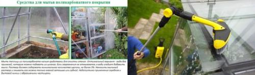 Каким раствором помыть теплицу осенью. Осенняя дезинфекция теплицы из поликарбоната изнутри