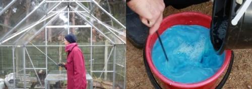 Каким раствором помыть теплицу осенью. Осенняя дезинфекция теплицы из поликарбоната изнутри