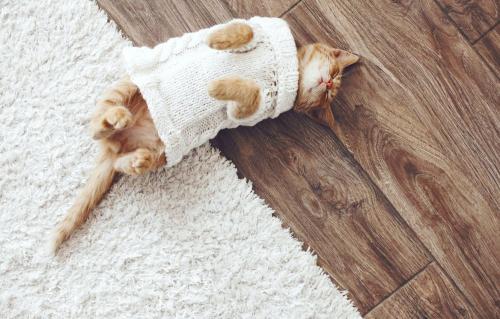 Какие факторы стоит учитывать при выборе напольного покрытия. Что важно учитывать при выборе напольного покрытия