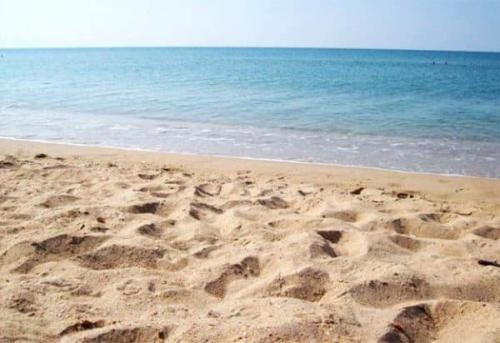 Как разводить цемент с водой. Цементно-песчаный раствор: соотношение песка и цемента при замесе смеси