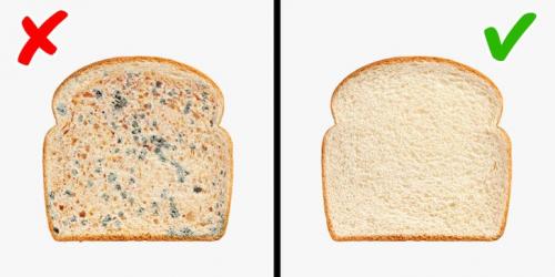 9 советов для тех, кому надоело выкидывать испорченные продукты в мусорку