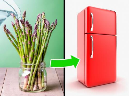 9 советов для тех, кому надоело выкидывать испорченные продукты в мусорку