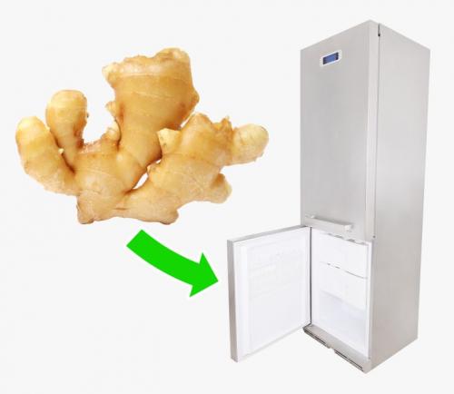 9 советов для тех, кому надоело выкидывать испорченные продукты в мусорку