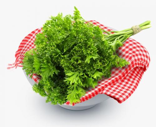 9 советов для тех, кому надоело выкидывать испорченные продукты в мусорку