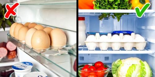 9 советов для тех, кому надоело выкидывать испорченные продукты в мусорку