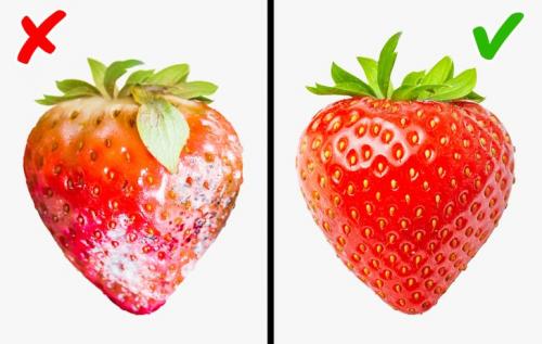 9 советов для тех, кому надоело выкидывать испорченные продукты в мусорку