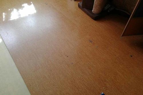 Пробковый пол: плюсы и минусы. Пробковый пол – плюсы и минусы. Отзывы мастера