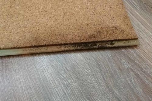 Пробковый пол: плюсы и минусы. Пробковый пол – плюсы и минусы. Отзывы мастера