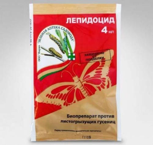 Уход за яблоней круглый год. Календарь ухода за яблоней и грушей на весь год! Для вашего удобства и больших урожаев