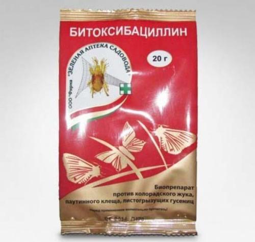 Уход за яблоней круглый год. Календарь ухода за яблоней и грушей на весь год! Для вашего удобства и больших урожаев