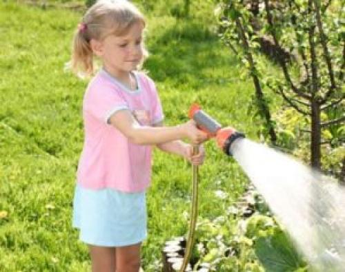 Уход за яблоней летом. А как часто надо поливать яблони?