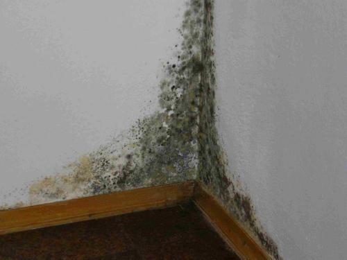 Какая разница между гидроизоляцией пола в доме и в квартире. Устройство гидроизоляции квартиры в новом доме