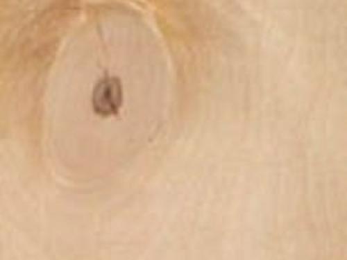 Как застелить фанеру на старый деревянный пол: пошаговая инструкция 10 Как застелить фанеру на старый деревянный пол: пошаговая инструкция 10