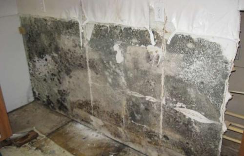 Гидроизоляция пола в ванной под плитку. Для чего нужна гидроизоляция пола?