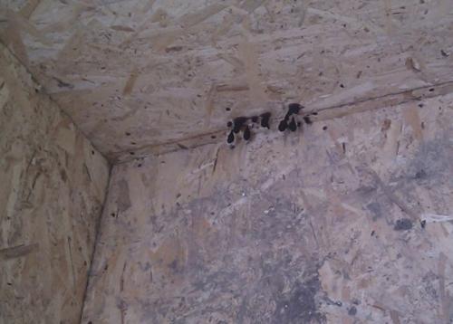 Каркасный дом на сваях плюсы и минусы. Минусы каркасных домов