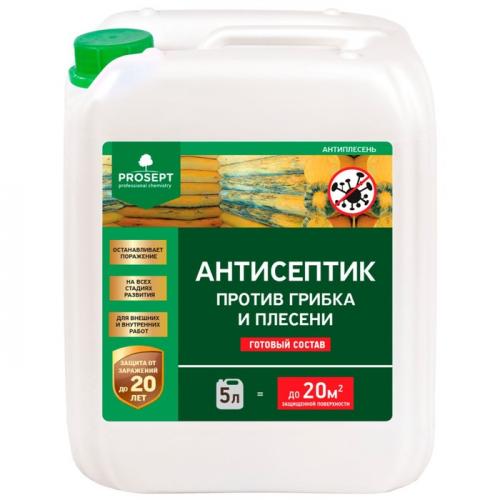 Как избежать образования плесени на полке в бане. ТОП-10 средств от плесени в бане