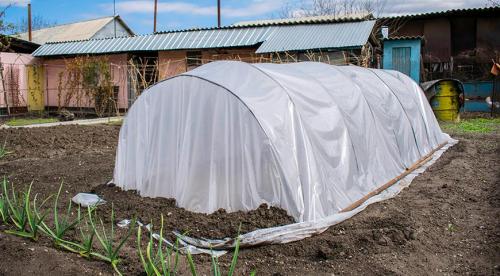 Как сделать теплицу своими руками. Теплицы своими руками виды и формы 26