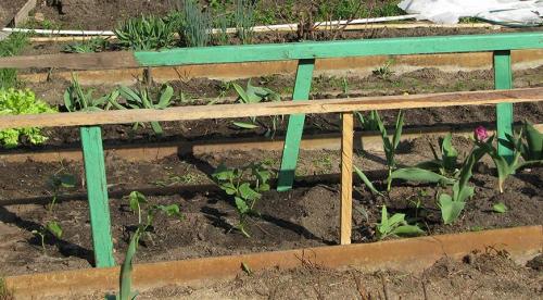 Как сделать теплицу своими руками. Теплицы своими руками виды и формы 28