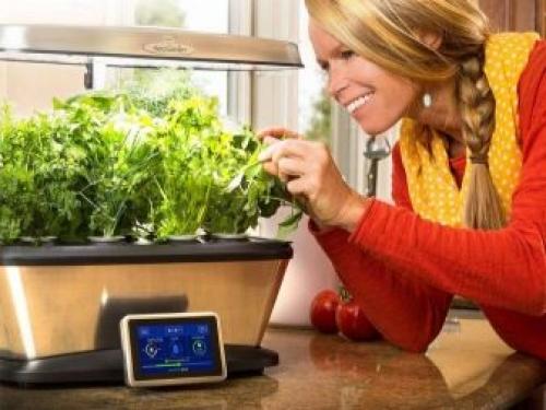 Мини-проект для самодельной теплицы. Место расположения на участке 18 Мини-проект для самодельной теплицы. Место расположения на участке 18