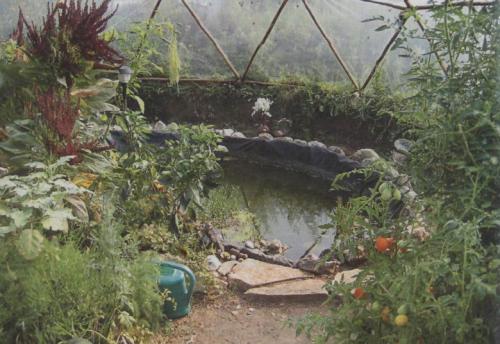 Круглая оранжерея. Круглая теплица: как построить самостоятельно простые проекты (83 фото-идеи)