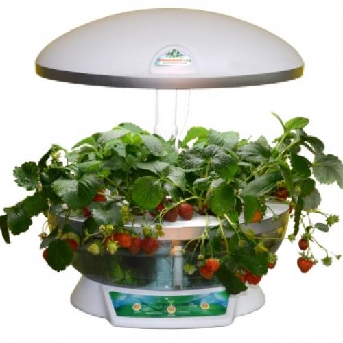 Мини-проект для самодельной теплицы. Место расположения на участке 14 Мини-проект для самодельной теплицы. Место расположения на участке 14