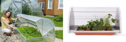 Мини-теплица своими руками в квартире. Мини-теплица