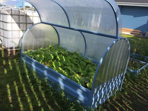 Мини теплица для рассады. Пошаговая инструкция, как построить мини-теплицу из поликарбоната своими руками: обзор видов, чертежи и размеры, фото