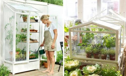 Мини-теплица своими руками в квартире. Мини-теплица