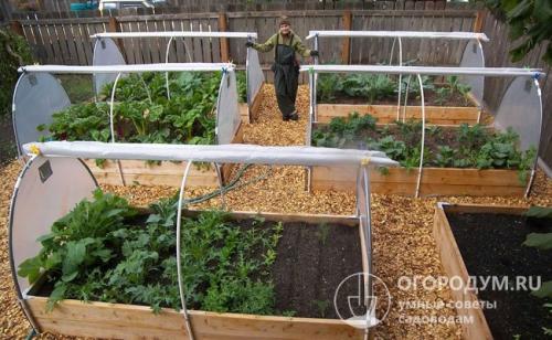 Узкая теплица для огурцов. Парник для огурцов своими руками: самые лучшие проекты