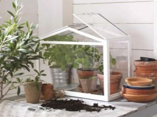 Мини-проект для самодельной теплицы. Место расположения на участке 07 Мини-проект для самодельной теплицы. Место расположения на участке 07