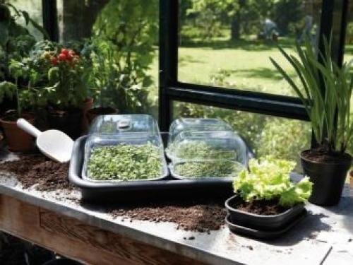 Мини-проект для самодельной теплицы. Место расположения на участке 08 Мини-проект для самодельной теплицы. Место расположения на участке 08