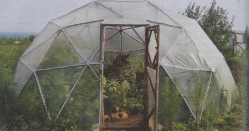 Круглая оранжерея. Круглая теплица: как построить самостоятельно простые проекты (83 фото-идеи)