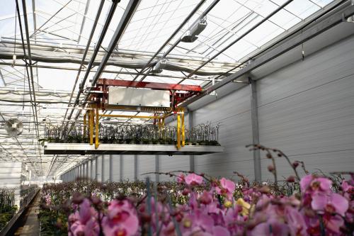 Круглая оранжерея. Круглая теплица: как построить самостоятельно простые проекты (83 фото-идеи)