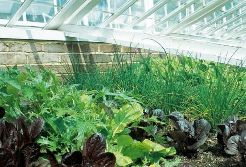 Мини-проект для самодельной теплицы. Место расположения на участке 03 Мини-проект для самодельной теплицы. Место расположения на участке 03