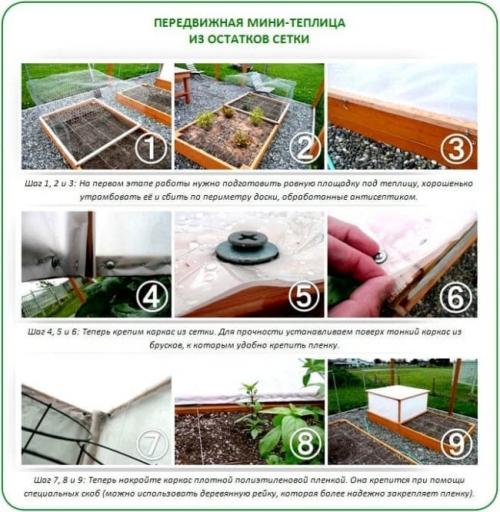 Мини-теплица своими руками в квартире. Мини-теплица
