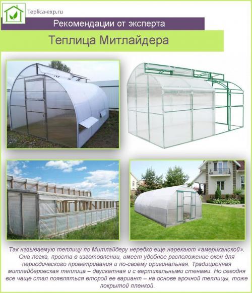 Теплица по Митлайдеру из дерева своими руками. Теплица по Митлайдеру своими руками