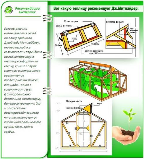 Теплица по Митлайдеру из дерева своими руками. Теплица по Митлайдеру своими руками