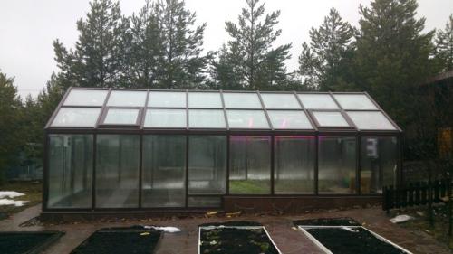 Теплица из дерева и стекла своими руками. Теплицы из стекла, ПВХ и алюминиевого профиля (90 фото): тонкости изготовления на дачном участке стеклянной теплицы своими руками