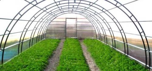 Размеры теплицы из поликарбоната чертеж 3х6. Особенности теплиц из поликарбоната 06 Размеры теплицы из поликарбоната чертеж 3х6. Особенности теплиц из поликарбоната 06